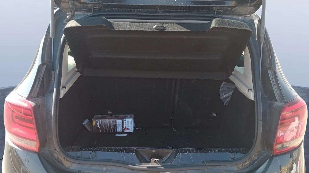 TRUNK
