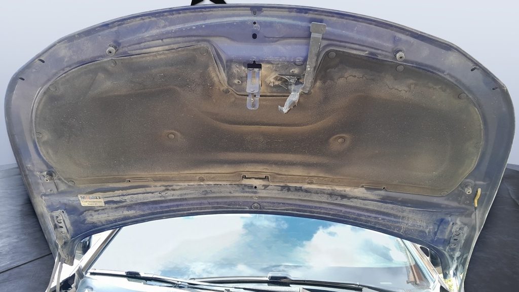 CAR HOOD