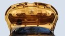 CAR HOOD