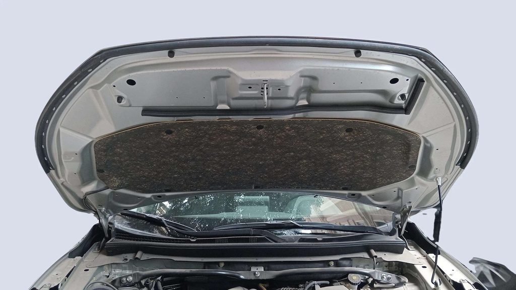 CAR HOOD