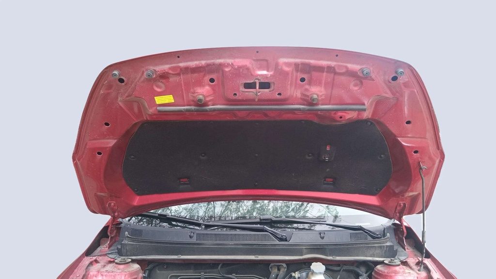 CAR HOOD