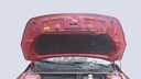CAR HOOD