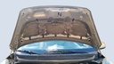 CAR HOOD