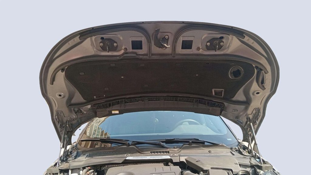 CAR HOOD