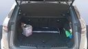 TRUNK