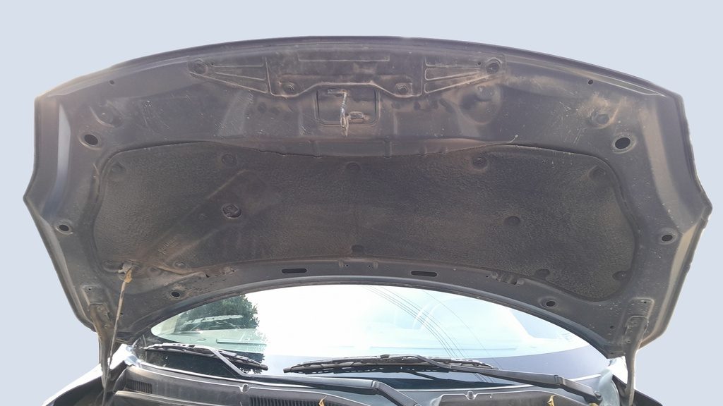 CAR HOOD