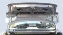 TRUNK HOOD
