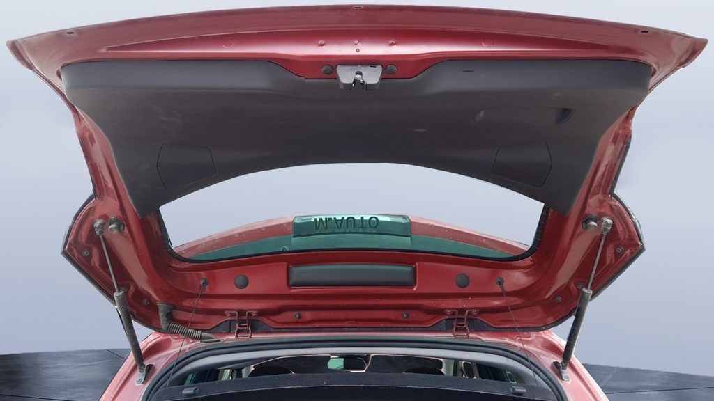 TRUNK HOOD