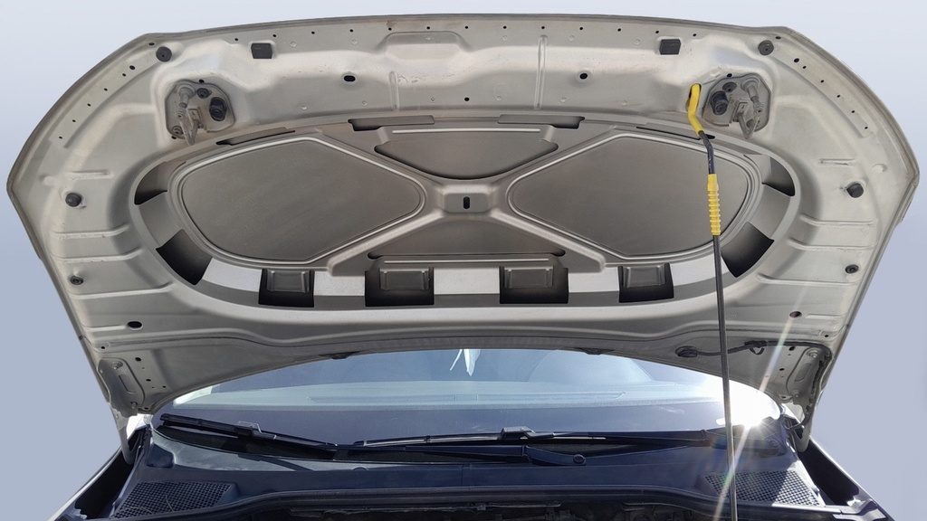 CAR HOOD