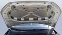 CAR HOOD