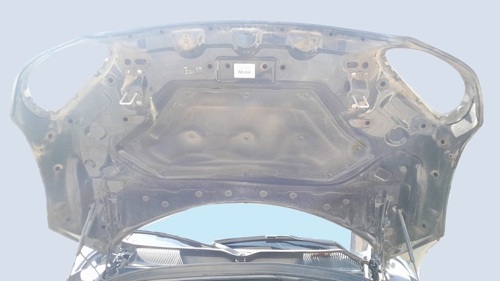 CAR HOOD