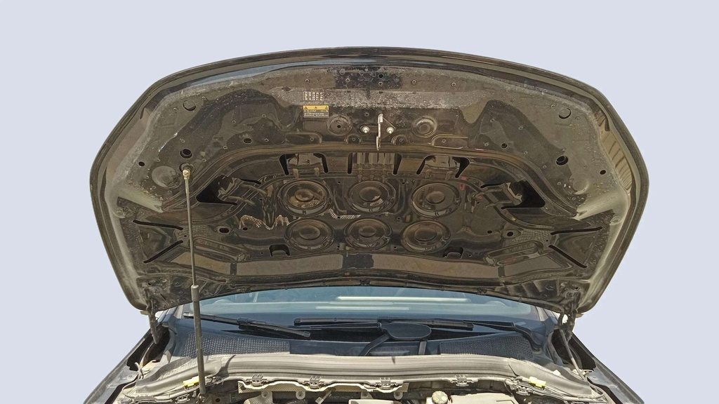 CAR HOOD