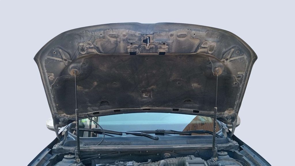 CAR HOOD