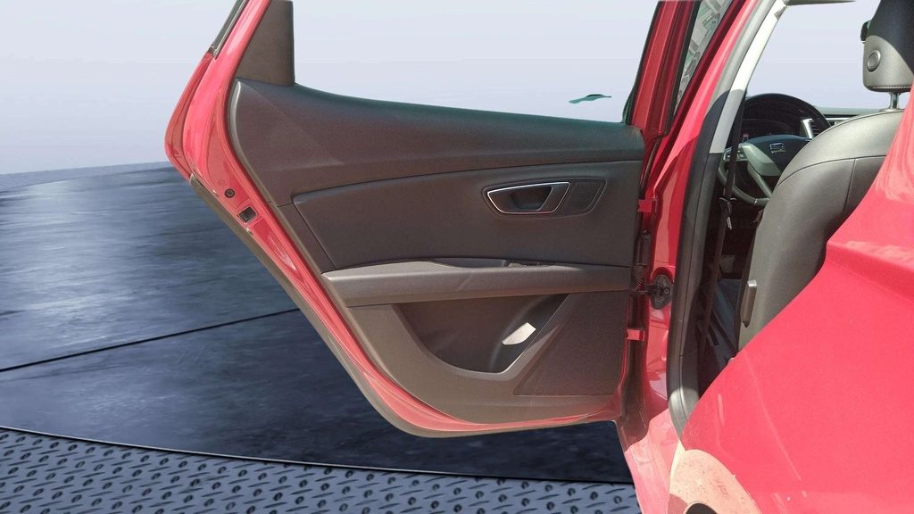 RR L DOOR