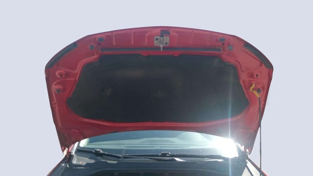CAR HOOD