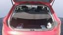 TRUNK