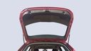 TRUNK HOOD