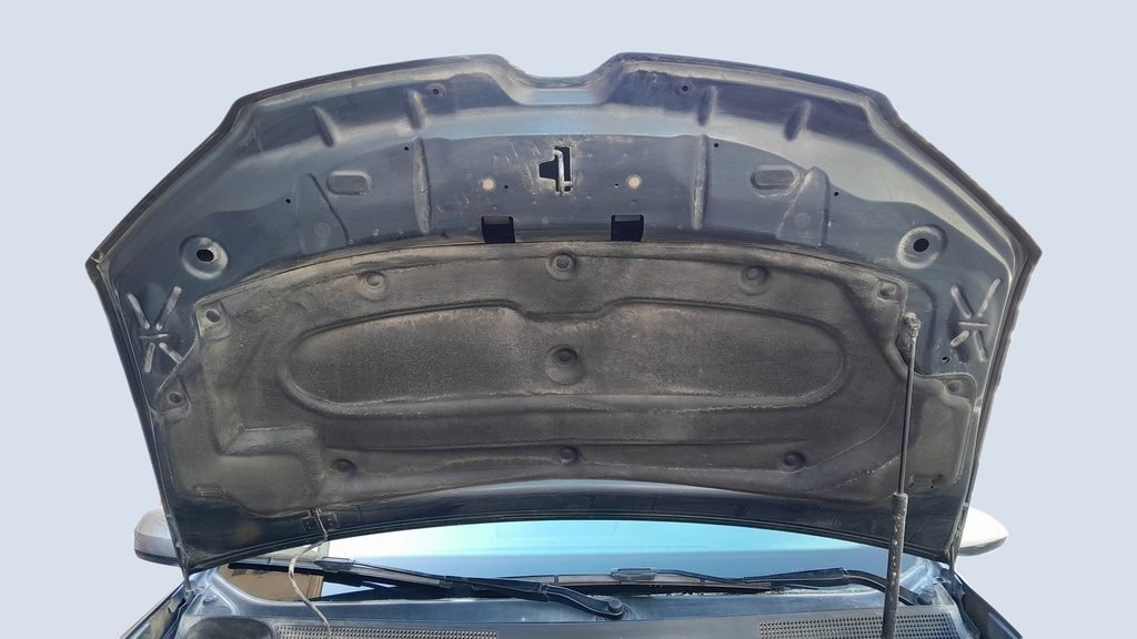 CAR HOOD