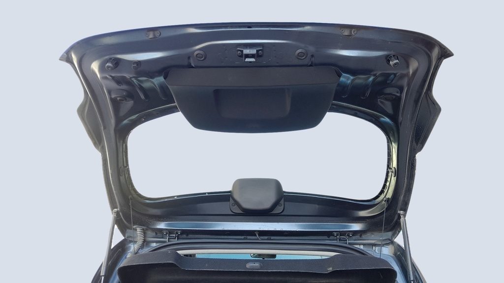 TRUNK HOOD
