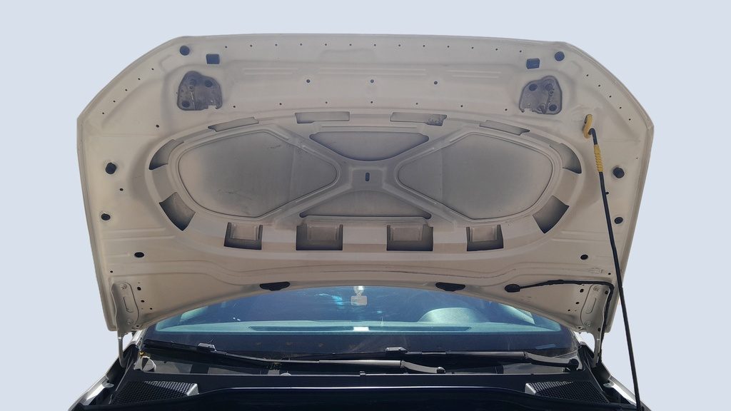 CAR HOOD