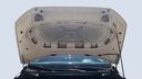 CAR HOOD