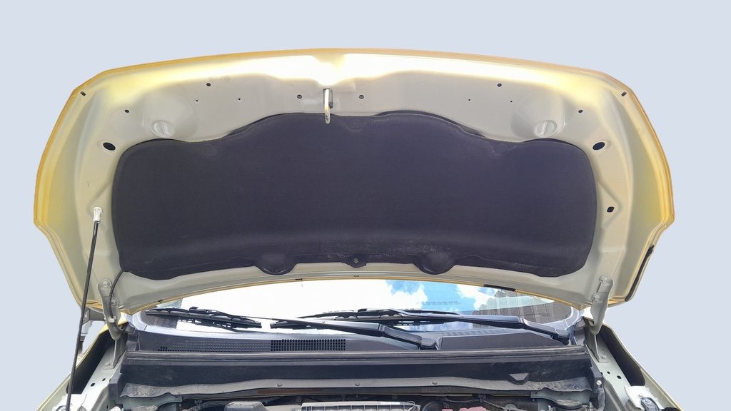 CAR HOOD