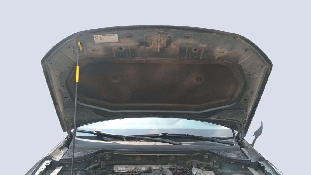 CAR HOOD