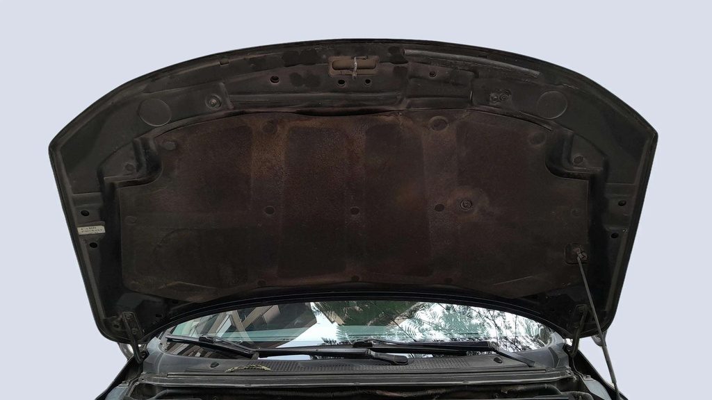 CAR HOOD