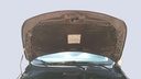 CAR HOOD