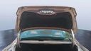 TRUNK HOOD