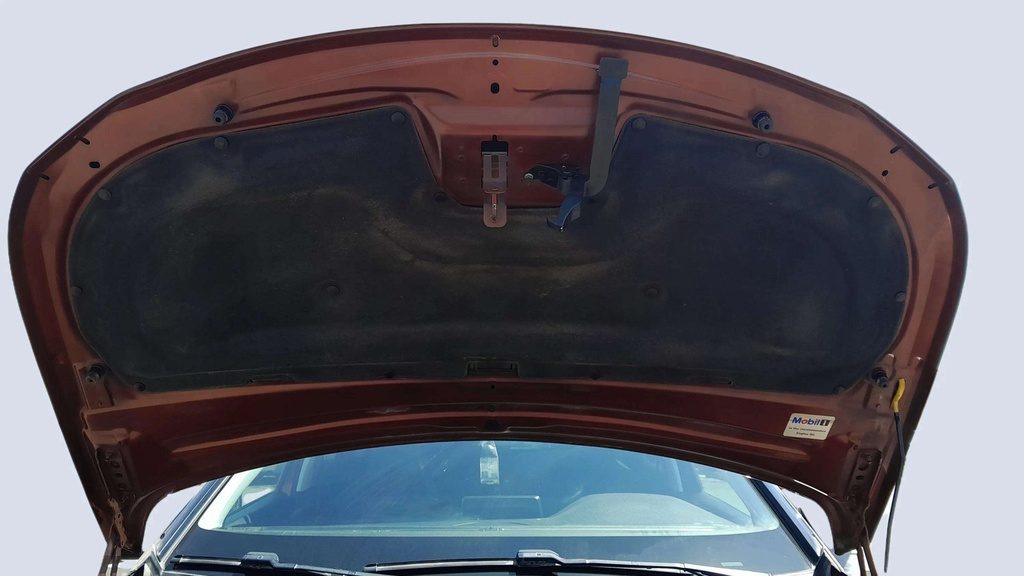 CAR HOOD