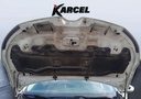 CAR HOOD