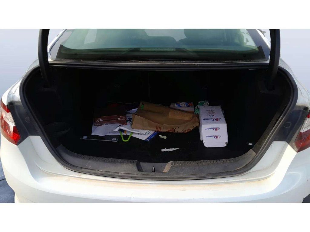 TRUNK