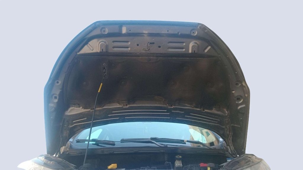 CAR HOOD