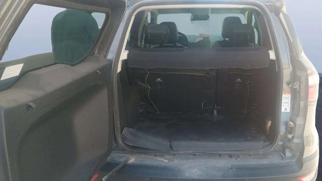 TRUNK