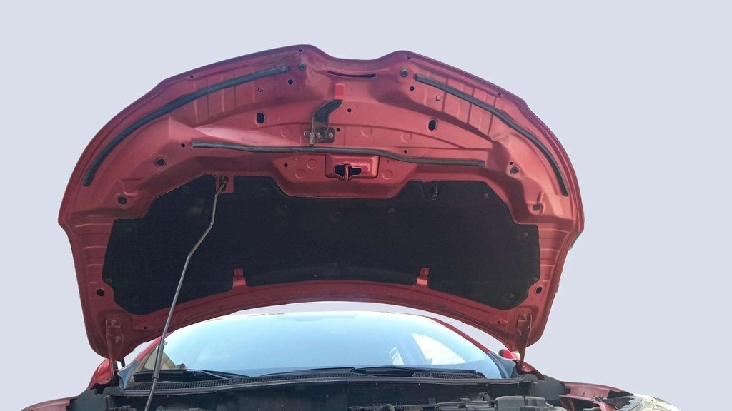 CAR HOOD