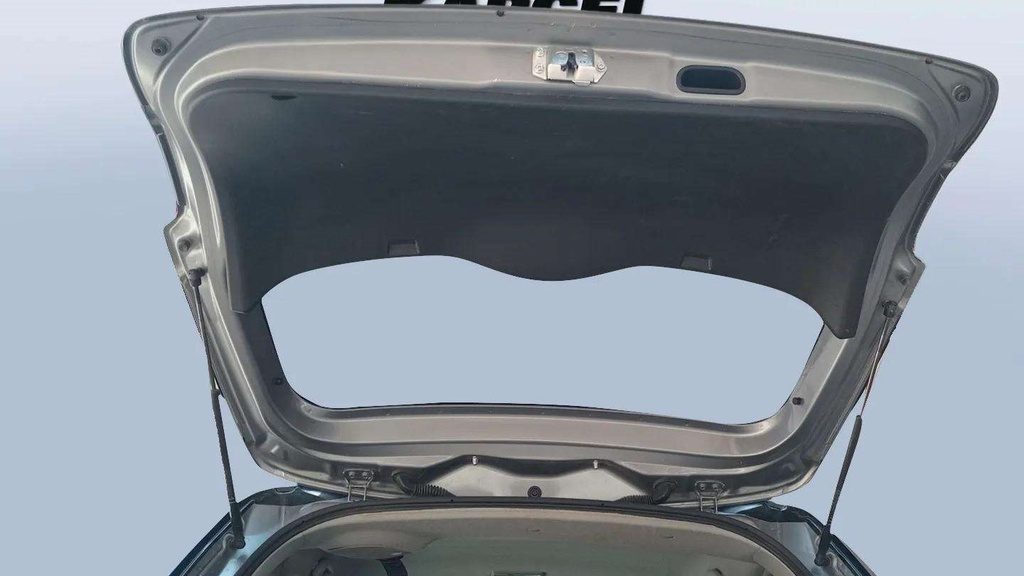 TRUNK HOOD