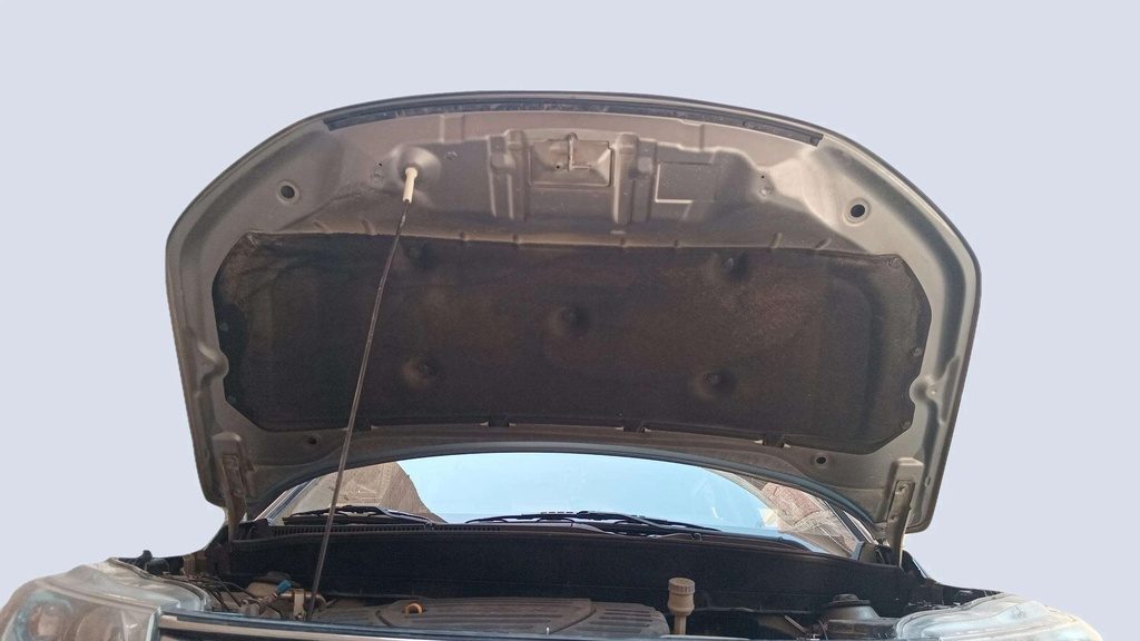 CAR HOOD