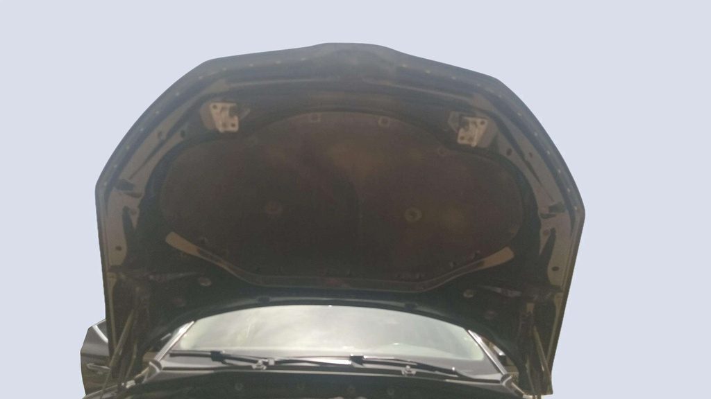 CAR HOOD