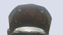CAR HOOD