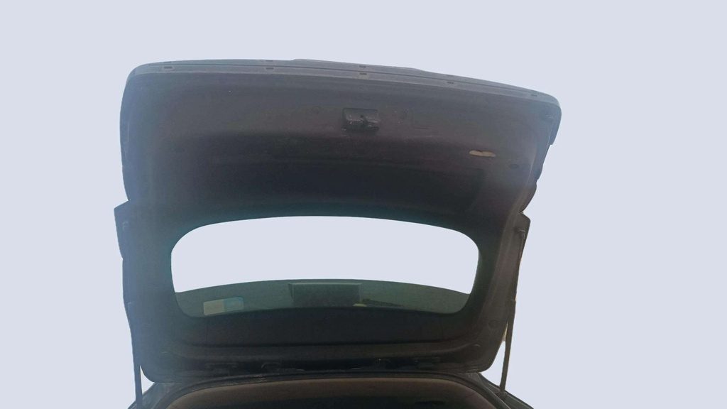 TRUNK HOOD