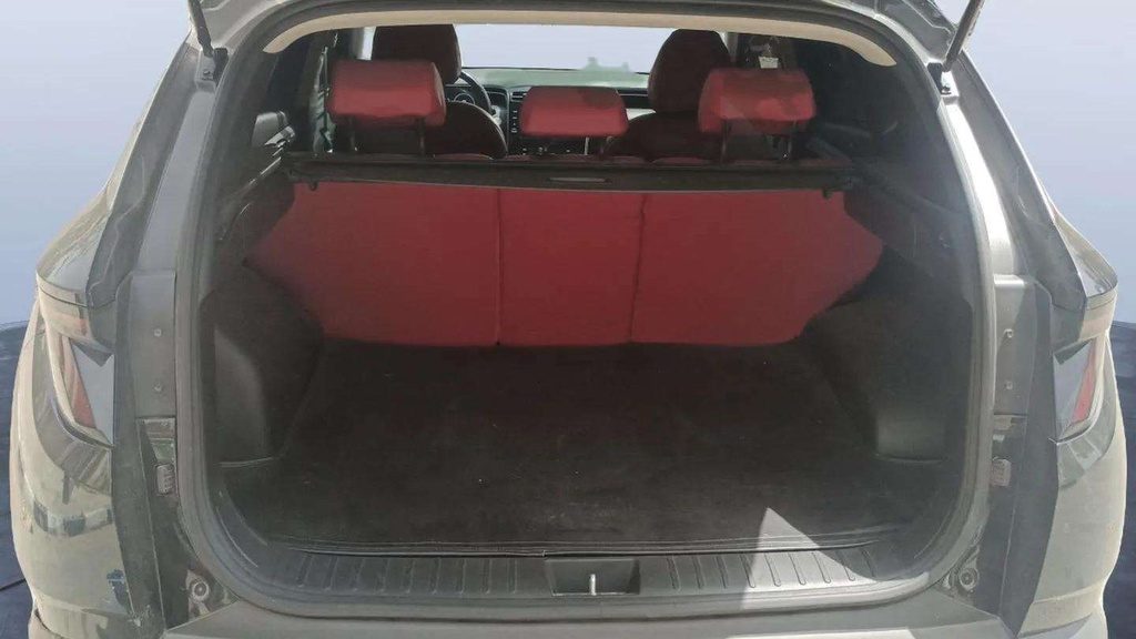 TRUNK