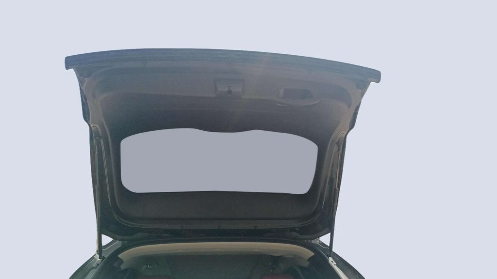 TRUNK HOOD