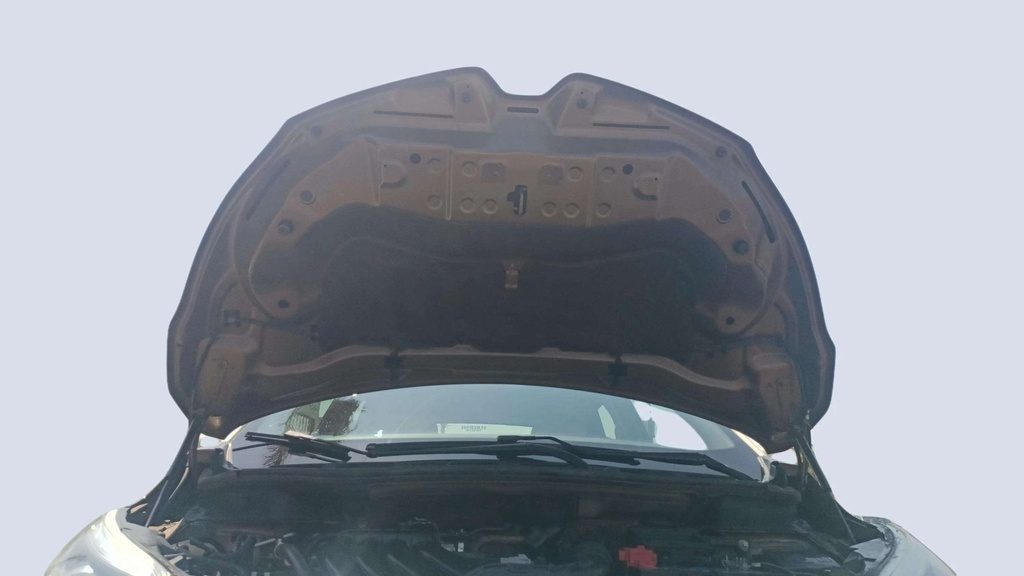 CAR HOOD