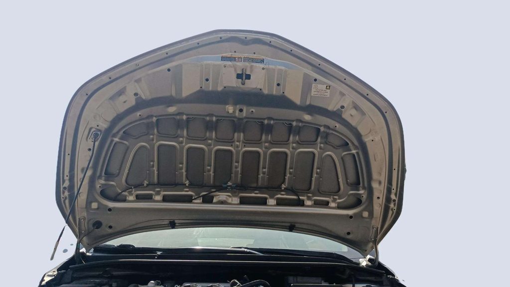 CAR HOOD