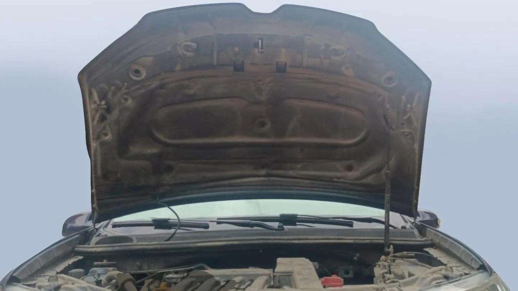 CAR HOOD