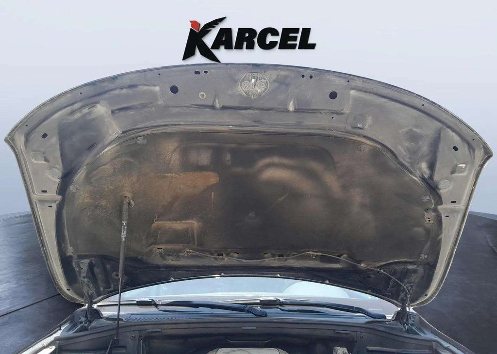 CAR HOOD