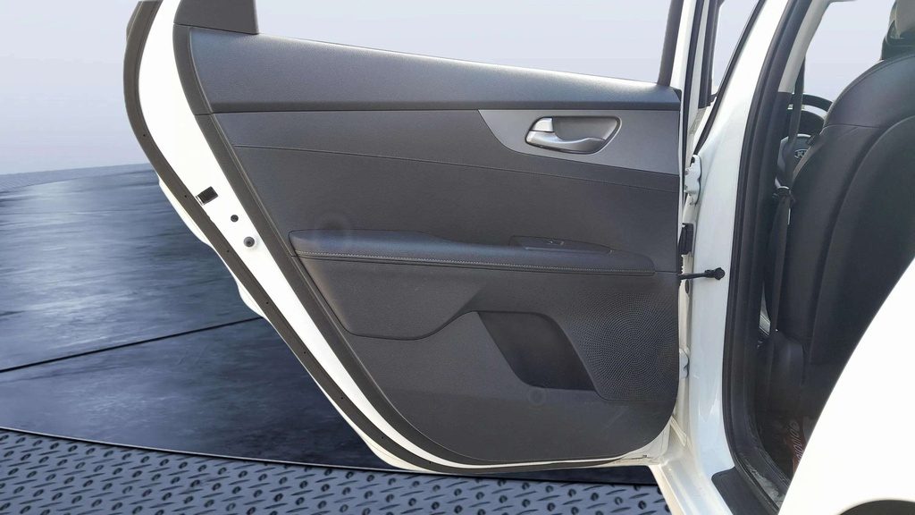 RR L DOOR