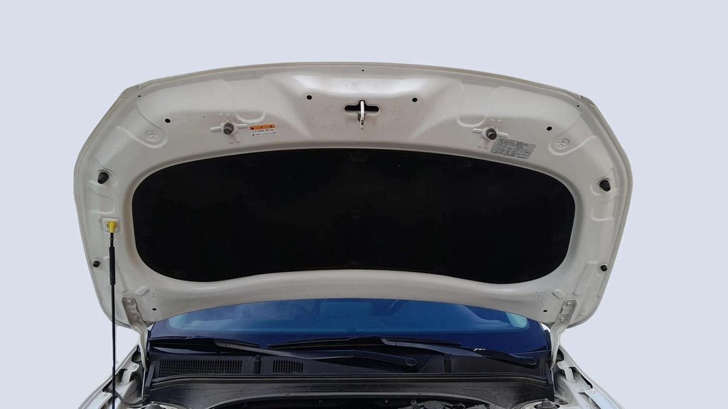 CAR HOOD