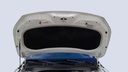 CAR HOOD